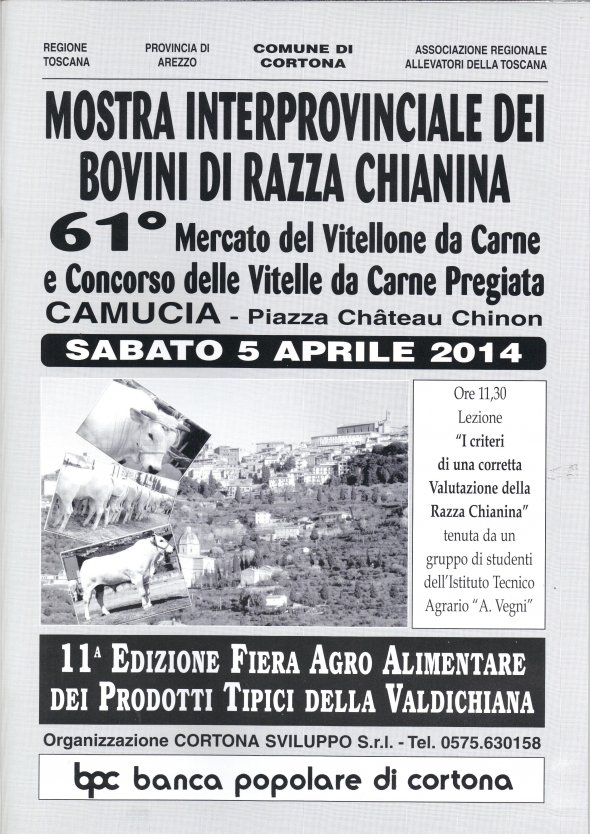 Mostra  interprovinciale dei Bovini di Razza Chianina